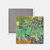 Aimant Vicent van Gogh, Iris (Recto/Verso)