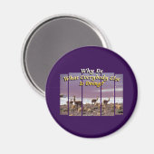 Aimant Vicuña Guanaco Lover - Devis d'aventure voyage (Recto/Verso)