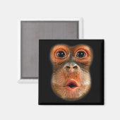 Aimant Vidéo virale drôle et cool du ventre de singe (Recto/Verso)