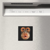 Aimant Vidéo virale drôle et cool du ventre de singe (In Situ (Lave-vaisselle))