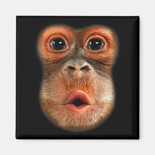 Aimant Vidéo virale drôle et cool du ventre de singe (Devant)