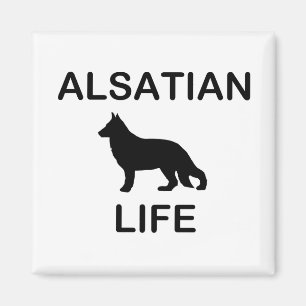 Aimant vie alsacienne