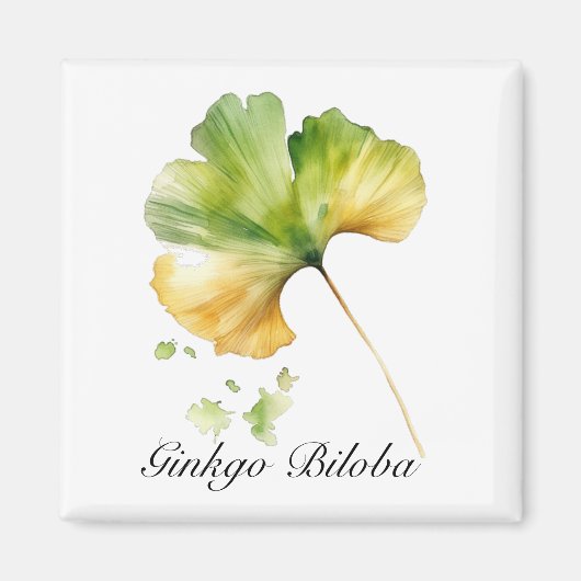 Aimant Vie de plantes : aquarelle de la feuille de Ginkgo (Devant)