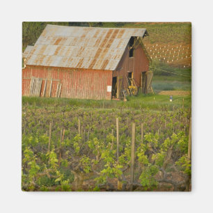 Aimant Vieille grange rouge au bord du vignoble de Zinfan