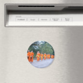 Aimant Vientiane (In Situ (Lave-vaisselle))