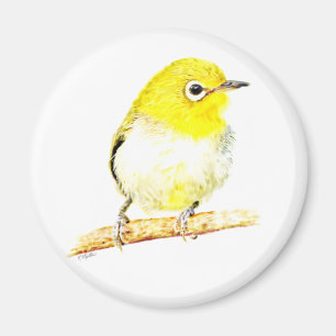 Aimant Viero jaune