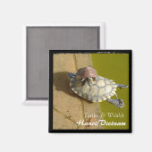 Aimant Vietnam, Hanoï, Tortues (aimant) (Recto/Verso)