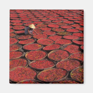 Aimant Vietnam. Séchage de bonbons dans des paniers sous