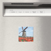 Aimant Vieux moulin japonais (In Situ (Lave-vaisselle))