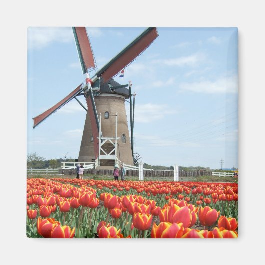 Aimant Vieux moulin japonais (Devant)