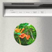 Aimant Vigne de trompette (In Situ (Lave-vaisselle))