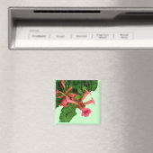 Aimant Vigne rouge de trompette (In Situ (Lave-vaisselle))