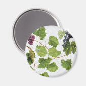 Aimant Vignoble de raisins Ile grecque méditerranéenne (Recto/Verso)