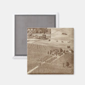 Aimant Vignoble Peerless, Hanford, Cal (Recto/Verso)