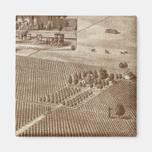 Aimant Vignoble Peerless, Hanford, Cal (Devant)