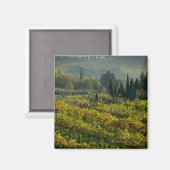 Aimant Vignoble, Toscane, Italie (Recto/Verso)