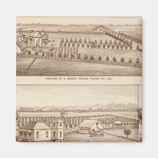 Aimant Vignobles, ranch, Tulare Co, Calif (Devant)