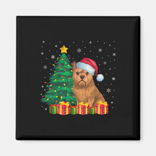Aimant Vilain Bruxelles Griffon Santa Hat Feux de Noël D