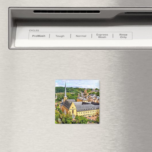 Aimant ville de Luxembourg (In Situ (Lave-vaisselle))