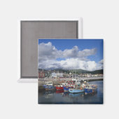 Aimant Ville et port, Dingle, comté de Kerry, (Recto/Verso)