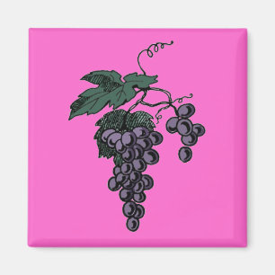 Aimant Vin de raisin