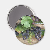 Aimant Vin sur la vigne (Recto/Verso)