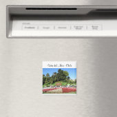 Aimant Viña del Mar - Chili (In Situ (Lave-vaisselle))