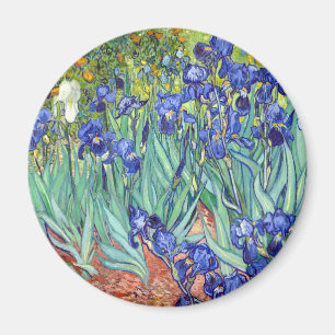 Aimant Vincent van Gogh 1889 Irises