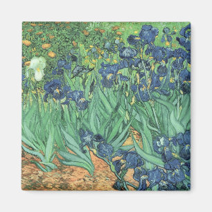 Aimant Vincent van Gogh   Irises, 1889