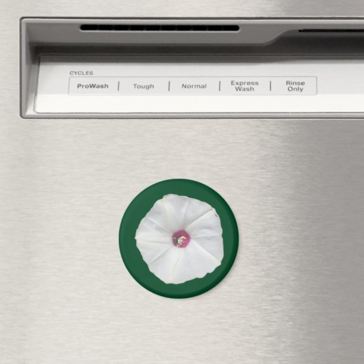 Aimant Vine d'Alamo (In Situ (Lave-vaisselle))