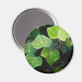 Aimant Vine d'Ivy 4 (Recto/Verso)