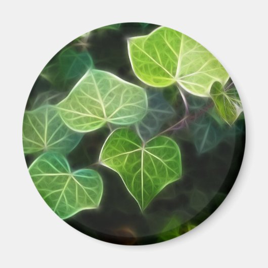 Aimant Vine d'Ivy 4 (Devant)