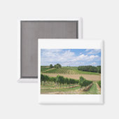 Aimant Vineyard - Vignoble (Bordeaux - France) 04 (Recto/Verso)