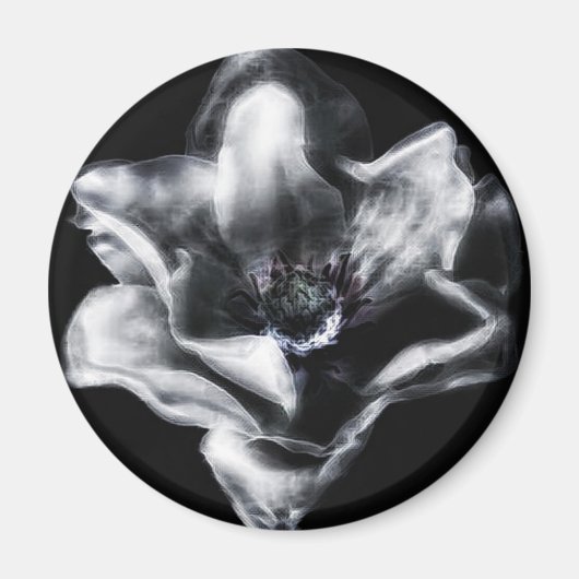 Aimant Vinny (Devant)