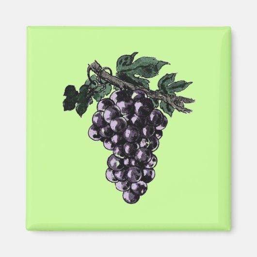 Aimant Vins de raisin (Devant)
