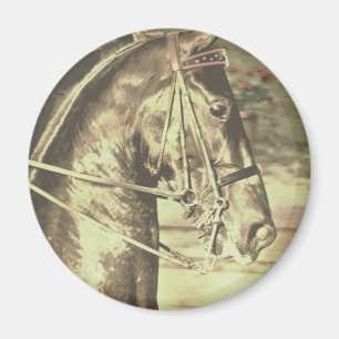 Aimant Vintage américain Saddlebred Faux