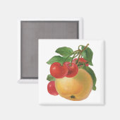 Aimant vintage aux fruits (Recto/Verso)