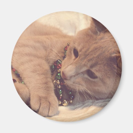Aimant Vintage Christmas Kitty (Devant)
