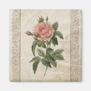 Aimant vintage de rose de rose