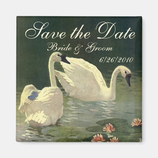 Aimant Vintage Enregistrer la date ! Beaux Swans Natation (Devant)