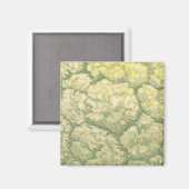 Aimant Vintage Food Vegetables Veggies Cauliflower (Recto/Verso)