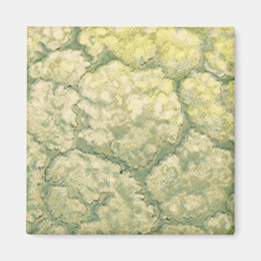 Aimant Vintage Food Vegetables Veggies Cauliflower (Devant)