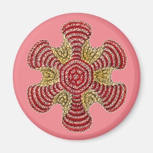Aimant Vintage Haeckel (Devant)