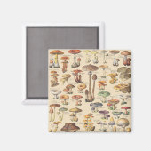 Aimant Vintage illustration de mushrooms (Recto/Verso)