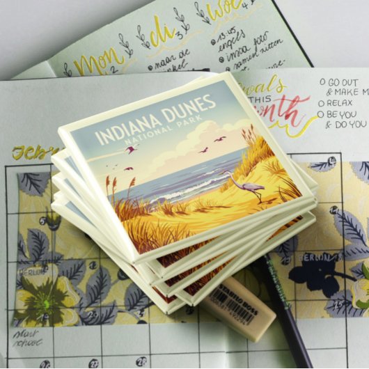 Aimant Vintage Indiana Dunes National Park 