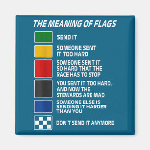 Aimant Vintage La Signification Des Drapeaux De Course Mo