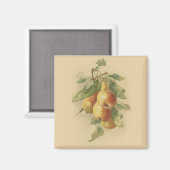 Aimant Vintage pears (Recto/Verso)