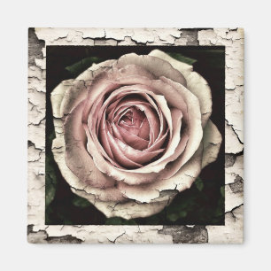 Aimant Vintage Pink Rose