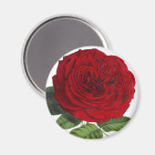 Aimant Vintage Rouge Rose Rose (Recto/Verso)