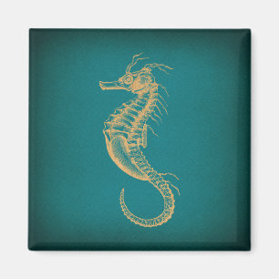Aimant Vintage Seahorse